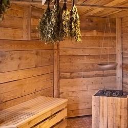Finnische Sauna im Wellnesshotel Bergruh